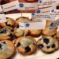 Blue Berry Special Muffins